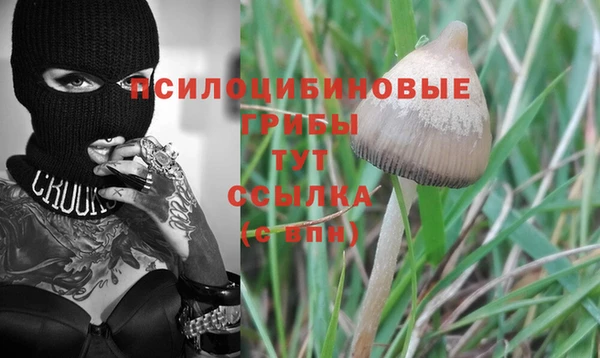 кристаллы Белокуриха