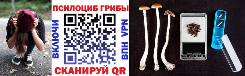 Галлюциногенные грибы мухоморы  Купить закладки  Вятские Поляны 